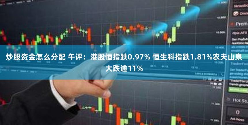 炒股资金怎么分配 午评:港股恒指跌0.97% 恒生科指跌1.81%农夫山泉大跌逾11%