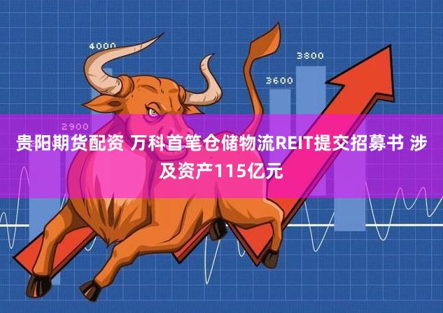 贵阳期货配资 万科首笔仓储物流REIT提交招募书 涉及资产115亿元