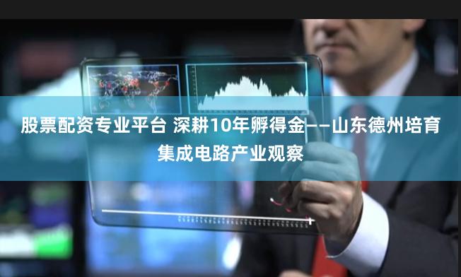 股票配资专业平台 深耕10年孵得金——山东德州培育集成电路产业观察